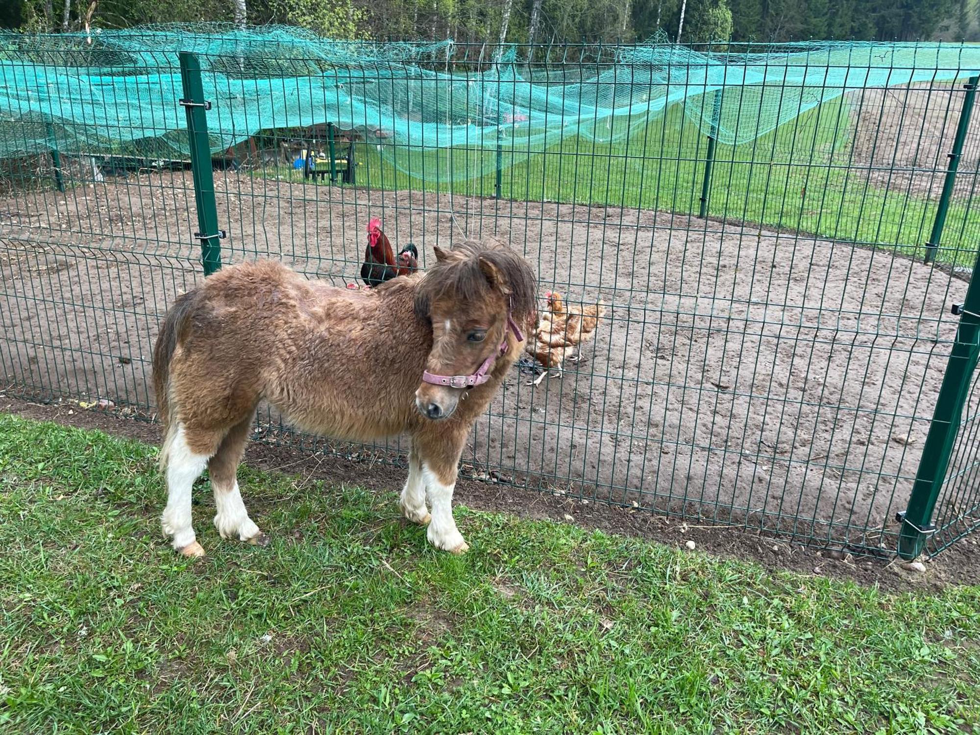 Maee Farm Villa Rõuge Dış mekan fotoğraf