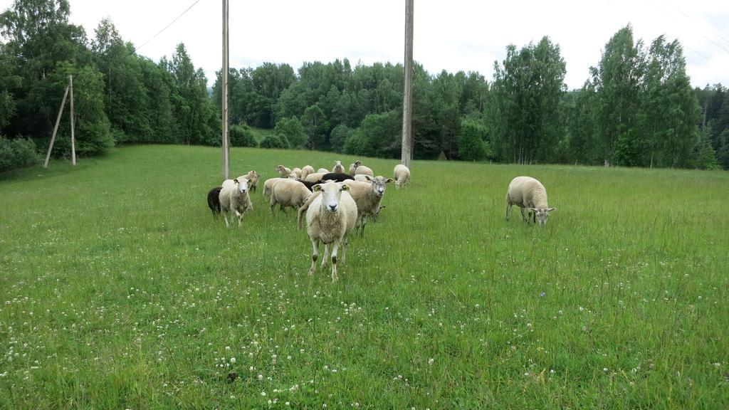 Maee Farm Villa Rõuge Dış mekan fotoğraf