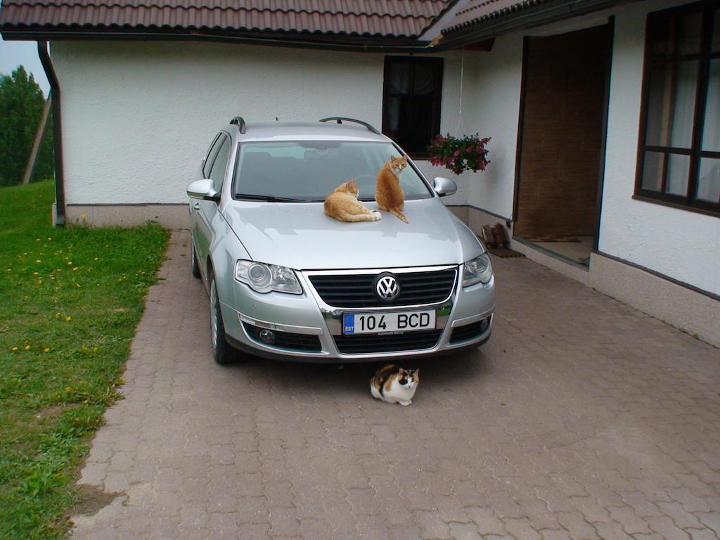 Maee Farm Villa Rõuge Dış mekan fotoğraf